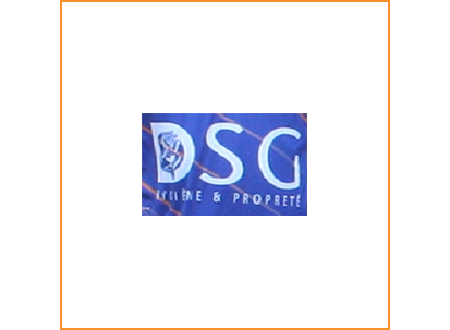 http://suc-terrenoire.fr/wp-content/uploads/2021/04/Logo-DSG-3-Colonnes.png